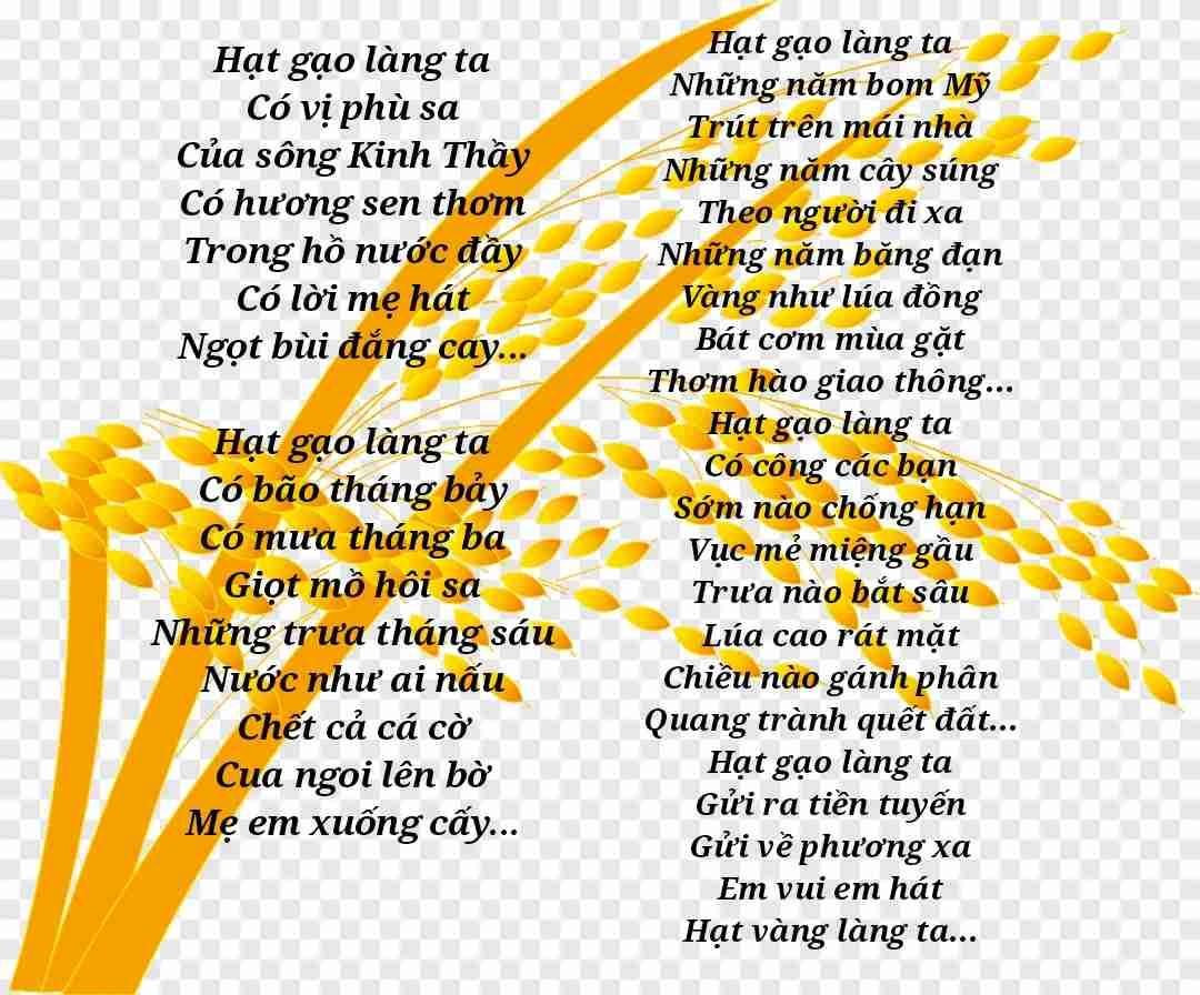 HẠT GẠO VIỆT NAM – HÀNH TRÌNH NGÀN NĂM GẮN KẾT ĐẤT, NGƯỜI VÀ VĂN HÓA VIỆT